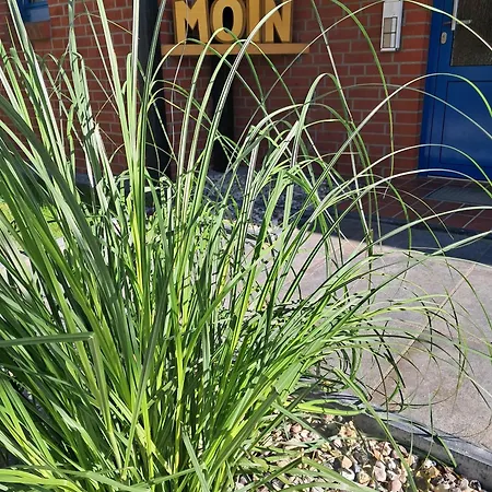 7003 - Domicil * Dahme (Schleswig-Holstein)